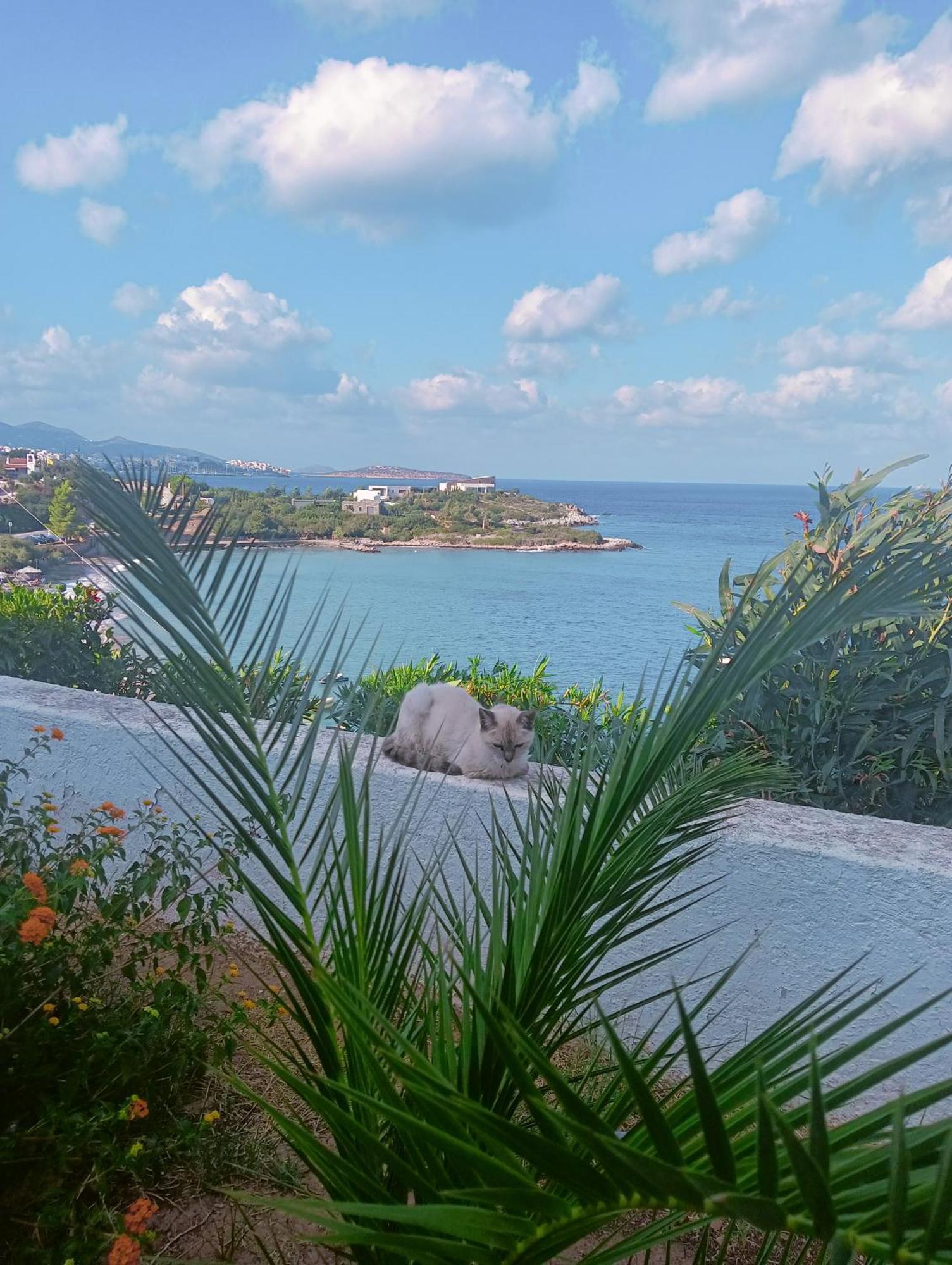 Residence Gerani Amoudara  エクステリア 写真